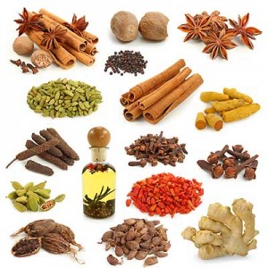 healingspices2